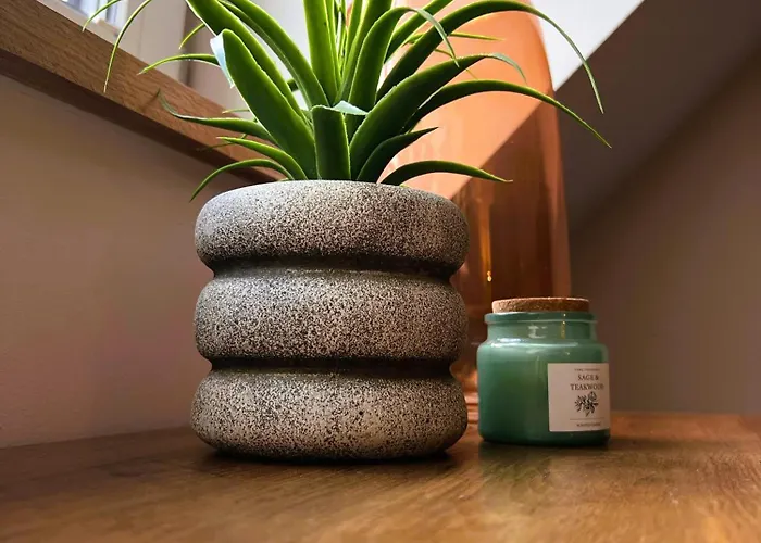 Apartmán Balans Nový Štětín